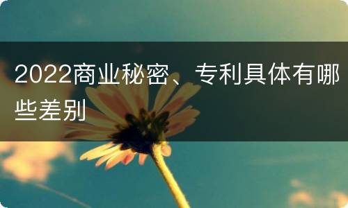 2022商业秘密、专利具体有哪些差别