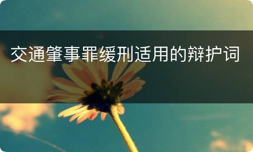 交通肇事罪缓刑适用的辩护词