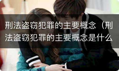 刑法盗窃犯罪的主要概念（刑法盗窃犯罪的主要概念是什么）