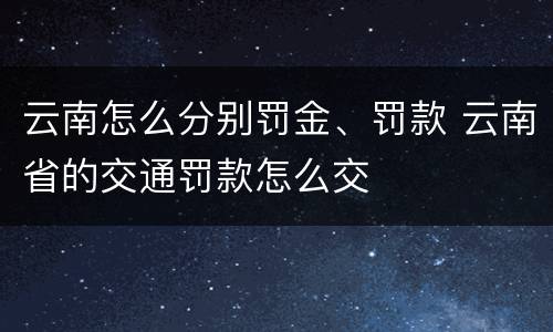 云南怎么分别罚金、罚款 云南省的交通罚款怎么交