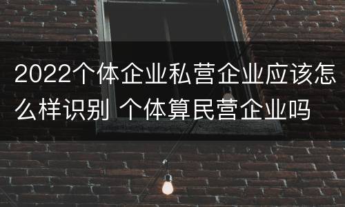 2022个体企业私营企业应该怎么样识别 个体算民营企业吗
