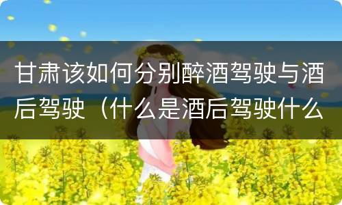 甘肃该如何分别醉酒驾驶与酒后驾驶（什么是酒后驾驶什么是醉酒驾驶）