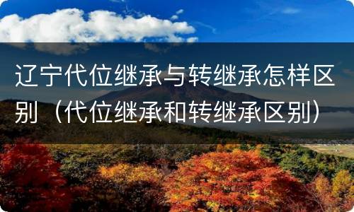 辽宁代位继承与转继承怎样区别（代位继承和转继承区别）