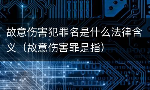 故意伤害犯罪名是什么法律含义（故意伤害罪是指）