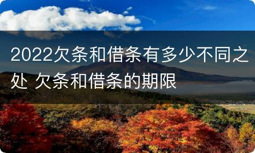 2022欠条和借条有多少不同之处 欠条和借条的期限