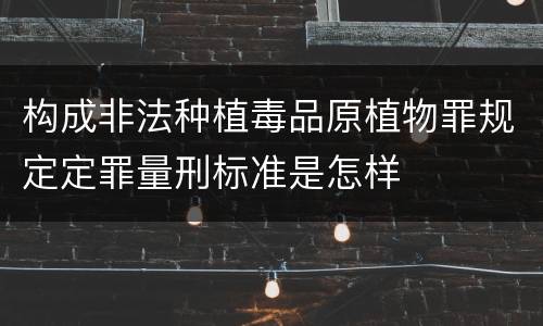 构成非法种植毒品原植物罪规定定罪量刑标准是怎样
