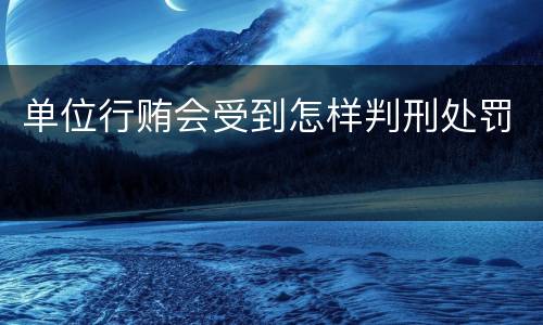 单位行贿会受到怎样判刑处罚