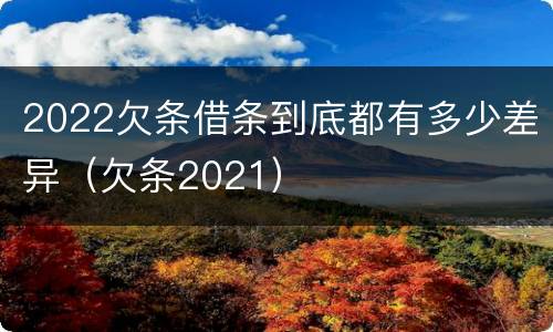 2022欠条借条到底都有多少差异（欠条2021）