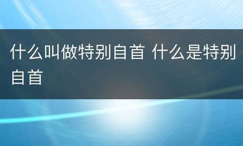 什么叫做特别自首 什么是特别自首