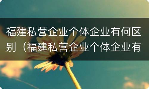 福建私营企业个体企业有何区别（福建私营企业个体企业有何区别与联系）