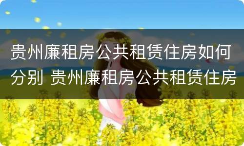 贵州廉租房公共租赁住房如何分别 贵州廉租房公共租赁住房如何分别购买