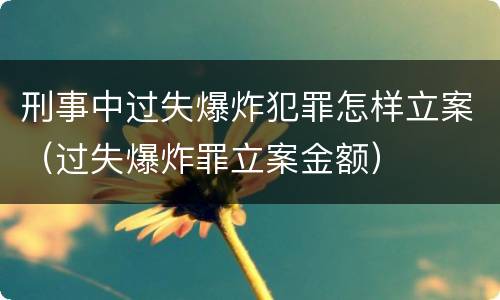 刑事中过失爆炸犯罪怎样立案（过失爆炸罪立案金额）