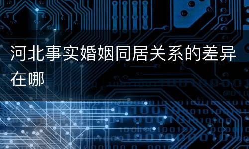河北事实婚姻同居关系的差异在哪