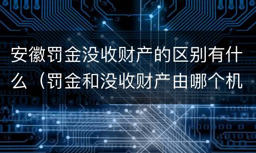 安徽罚金没收财产的区别有什么（罚金和没收财产由哪个机关执行）