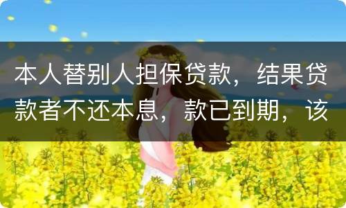 本人替别人担保贷款，结果贷款者不还本息，款已到期，该怎么办