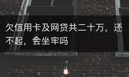 欠信用卡及网贷共二十万，还不起，会坐牢吗