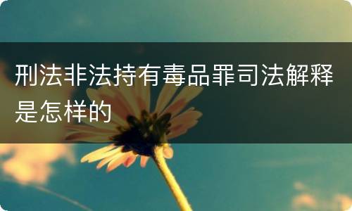 刑法非法持有毒品罪司法解释是怎样的