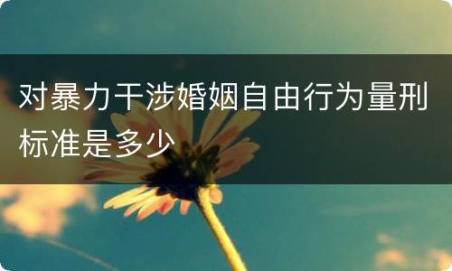对暴力干涉婚姻自由行为量刑标准是多少
