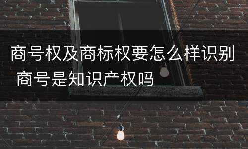 商号权及商标权要怎么样识别 商号是知识产权吗