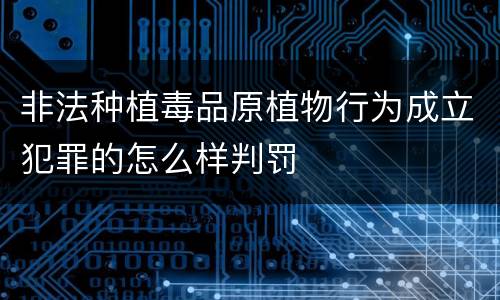 非法种植毒品原植物行为成立犯罪的怎么样判罚