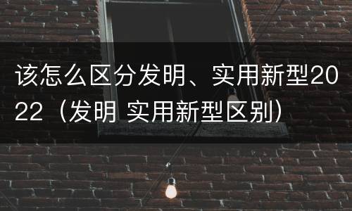 该怎么区分发明、实用新型2022（发明 实用新型区别）