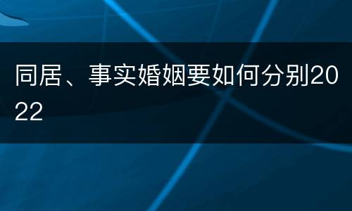 同居、事实婚姻要如何分别2022