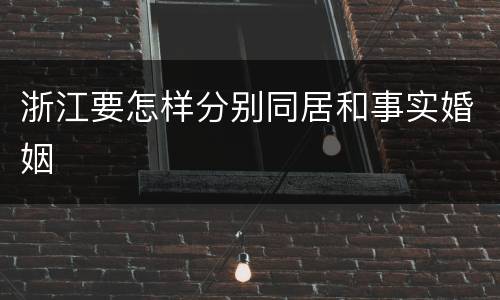 浙江要怎样分别同居和事实婚姻