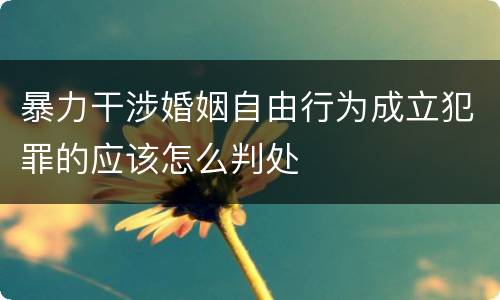 暴力干涉婚姻自由行为成立犯罪的应该怎么判处