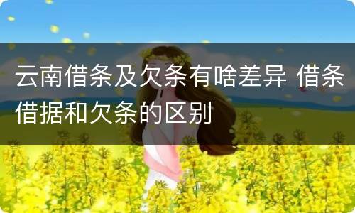 云南借条及欠条有啥差异 借条借据和欠条的区别