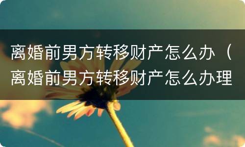 离婚前男方转移财产怎么办（离婚前男方转移财产怎么办理手续）