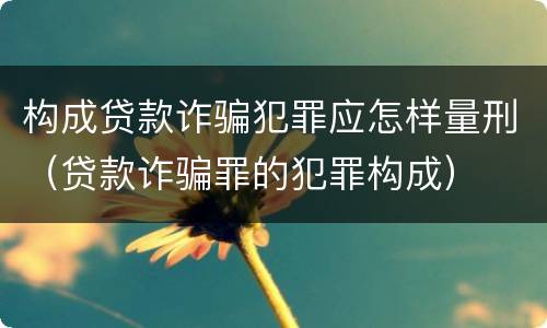 构成贷款诈骗犯罪应怎样量刑（贷款诈骗罪的犯罪构成）