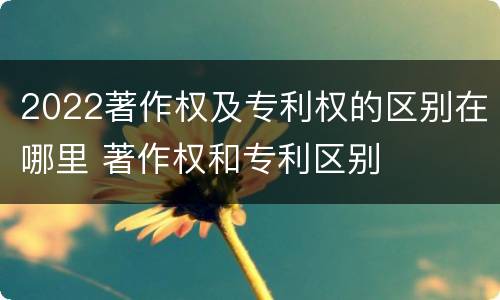 2022著作权及专利权的区别在哪里 著作权和专利区别