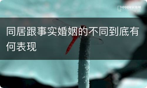 同居跟事实婚姻的不同到底有何表现