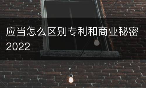 应当怎么区别专利和商业秘密2022