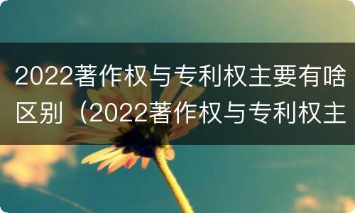 2022著作权与专利权主要有啥区别（2022著作权与专利权主要有啥区别呢）