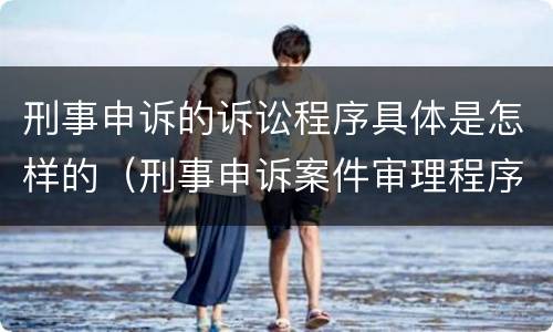刑事申诉的诉讼程序具体是怎样的（刑事申诉案件审理程序）