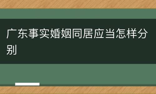 广东事实婚姻同居应当怎样分别