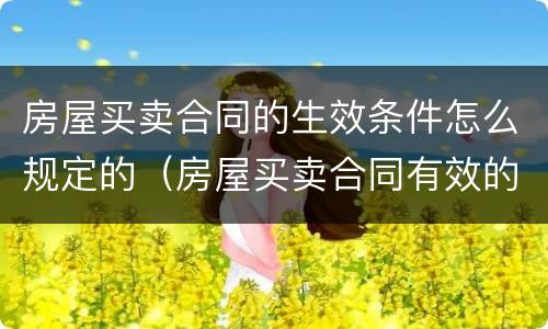 房屋买卖合同的生效条件怎么规定的（房屋买卖合同有效的条件）