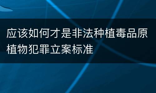 应该如何才是非法种植毒品原植物犯罪立案标准