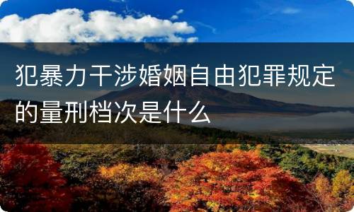 犯暴力干涉婚姻自由犯罪规定的量刑档次是什么