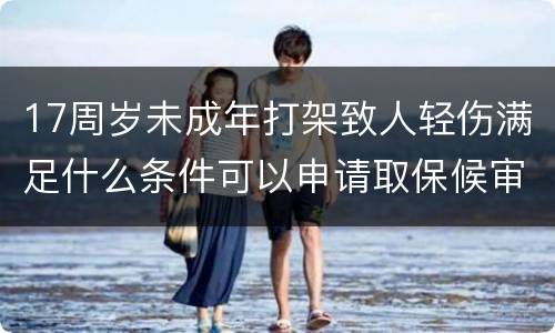 17周岁未成年打架致人轻伤满足什么条件可以申请取保候审的