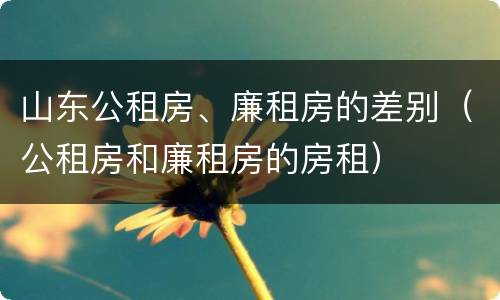 山东公租房、廉租房的差别（公租房和廉租房的房租）