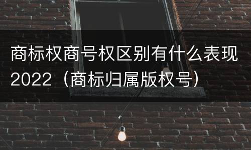 商标权商号权区别有什么表现2022（商标归属版权号）