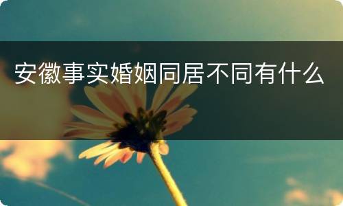安徽事实婚姻同居不同有什么