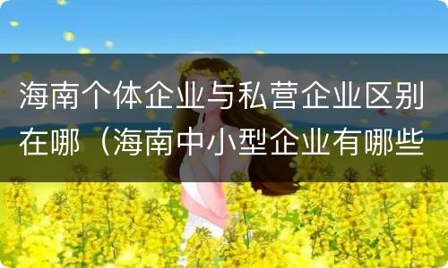 海南个体企业与私营企业区别在哪（海南中小型企业有哪些公司）