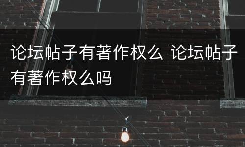 论坛帖子有著作权么 论坛帖子有著作权么吗
