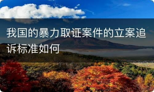 我国的暴力取证案件的立案追诉标准如何