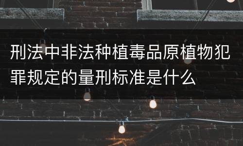 刑法中非法种植毒品原植物犯罪规定的量刑标准是什么