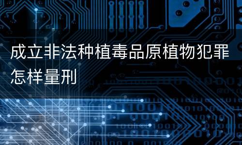 成立非法种植毒品原植物犯罪怎样量刑