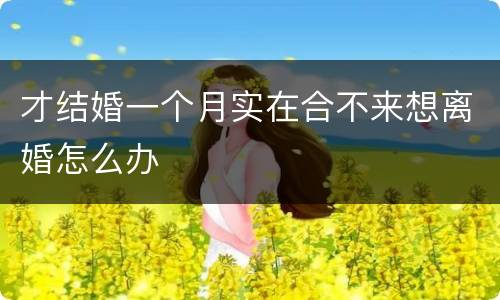 才结婚一个月实在合不来想离婚怎么办